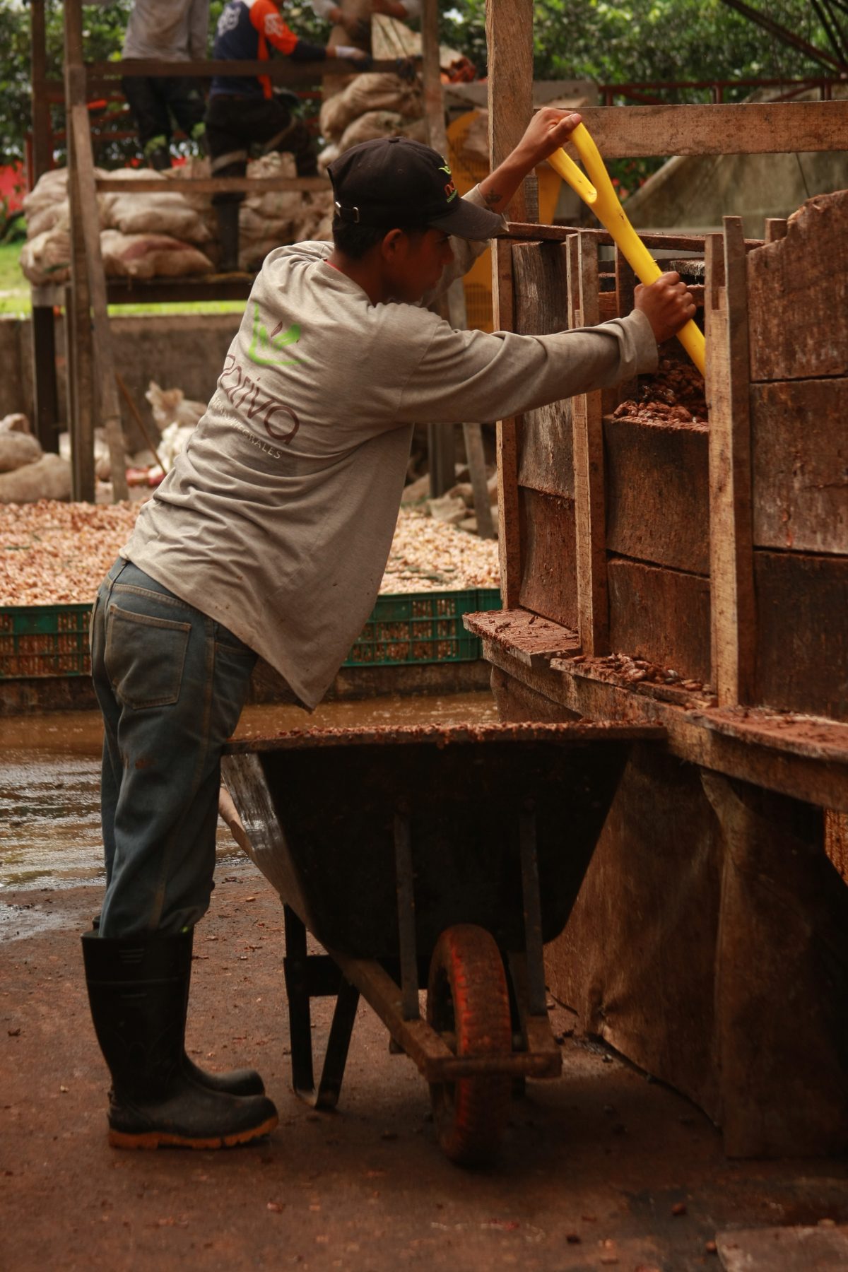 Trabajadores
