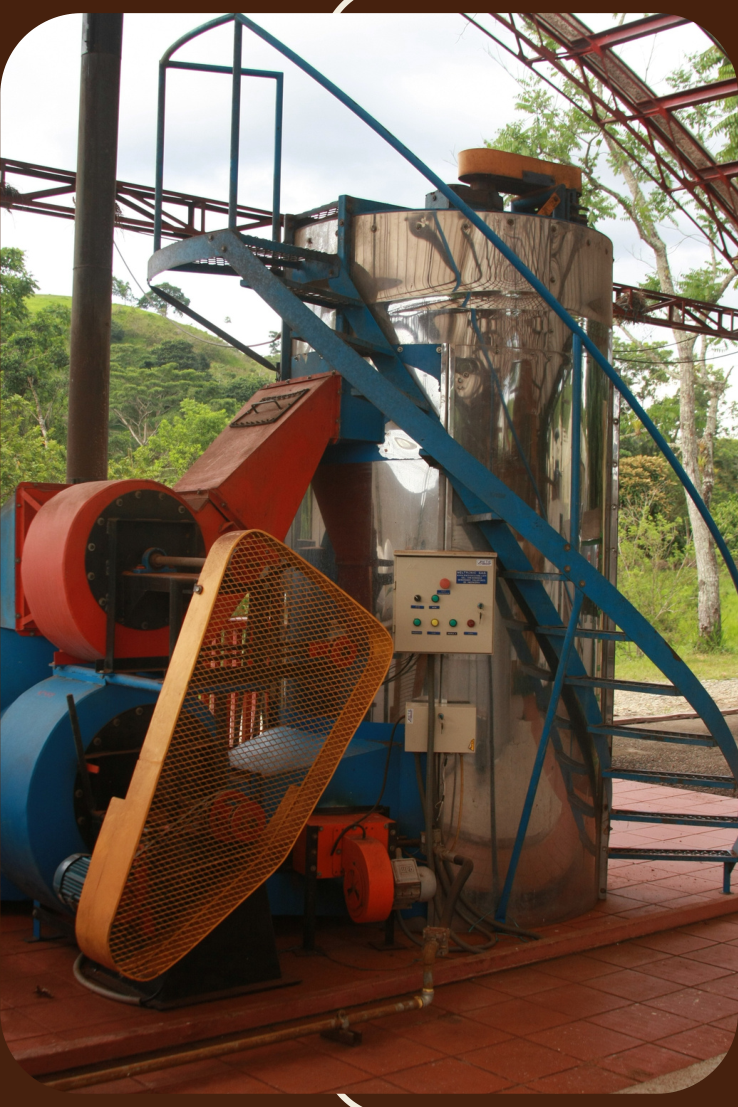 Silo de Secado y Reposo